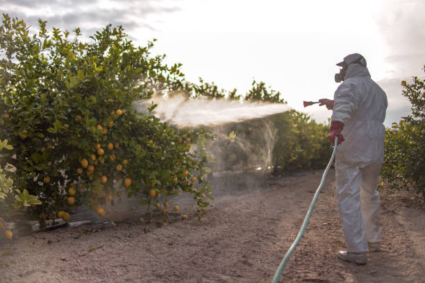 Reliable Rockport, IN Pest Control Solutions