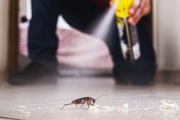 Best Residential Pest Control  in Rockport, IN