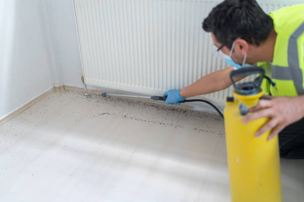 Best Wasp Removal Services  in Rockport, IN