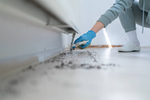 Flea Control Services in Rockport, IN
